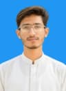 Majid Ali